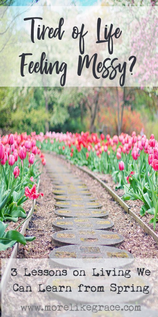 Devotional About Spring